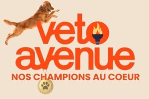 Pas Cher VetoAvenue Magasin