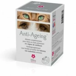 Anti-Ageing