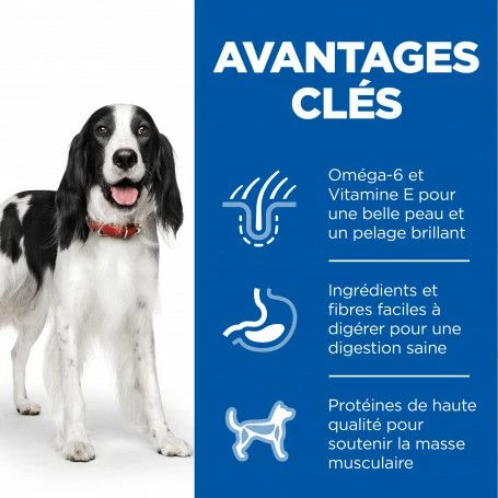 Canine Adult Poulet Boîte – Image 2