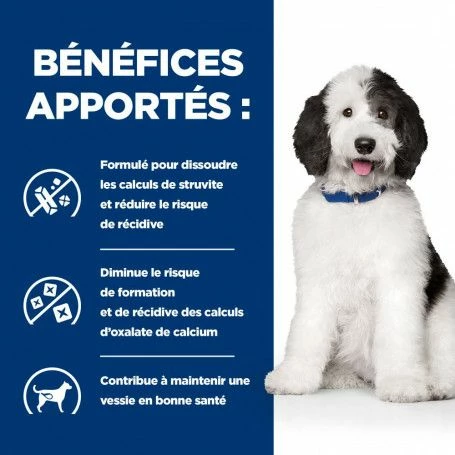 C/d Urinary Multicare Mijotés Pour Chien Poulet & Légumes – Image 4