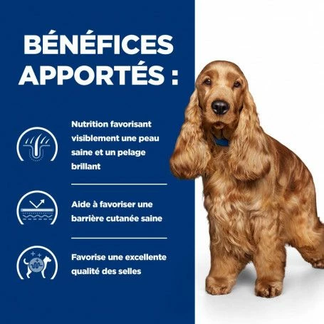 Z/d Food Sensitivities Boîte Pour Chien – Image 4