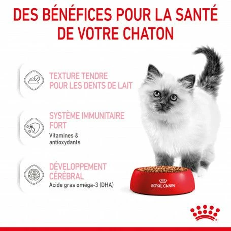 Cat Kitten Royal Canin Emincé En Sauce Sachet Repas – Image 7