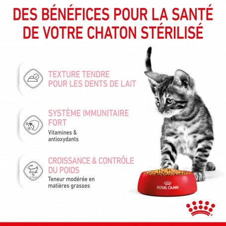 Cat Kitten Sterilised Royal Canin Emincé En Gelée Sachet Repas – Image 7