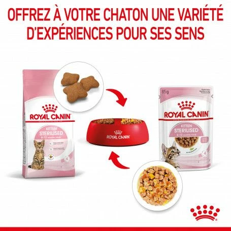 Cat Kitten Sterilised Royal Canin Emincé En Gelée Sachet Repas – Image 8