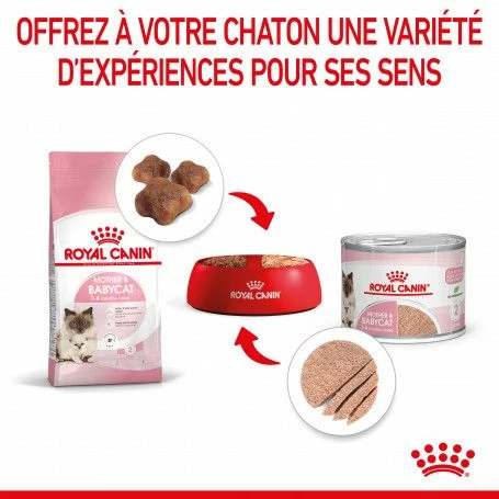 ROYAL CANIN Cat Mother & Babycat Boîte – Image 5