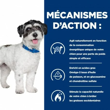 J/d Metabolic+Mobility Mini Croquettes Pour Petit Chien Au Poulet – Image 4