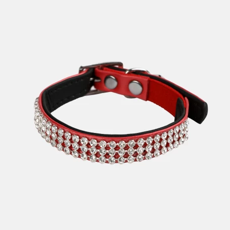 Materiel Collier Chat Wouapy Diam's – Image 2