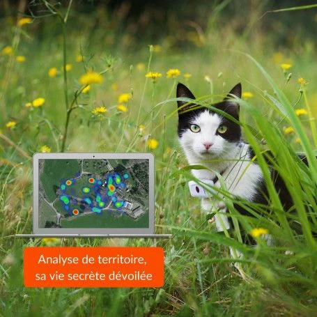 Materiel Collier GPS Weenect Cats 2 Pour Chat – Image 7