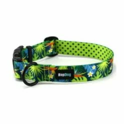 Materiel Collier Hop Dog Tropics Time