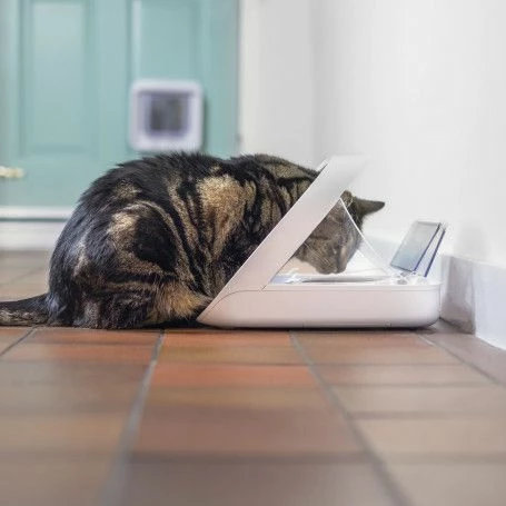 Materiel Distributeur Automatique De Nourriture SureFeed Connect – Image 6