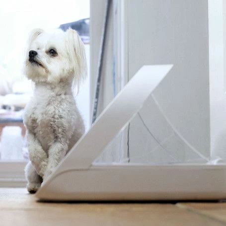 Materiel Distributeur Automatique De Nourriture SureFeed Connect – Image 7