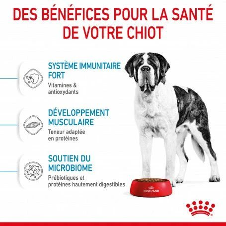 ROYAL CANIN Dog Junior Giant – Image 4
