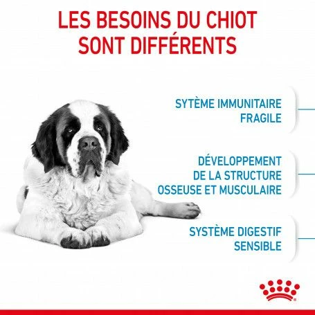 ROYAL CANIN Dog Junior Giant – Image 5