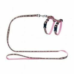 Materiel Ensemble Harnais / Laisse Chat Hunter