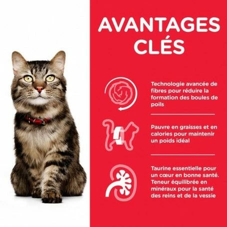 Feline Mature Hairball Control Poulet – Image 2