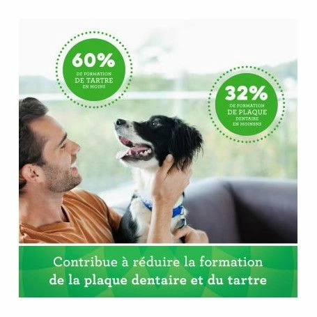Mars Friandises Greenies Teenie Pour Chien – Image 8