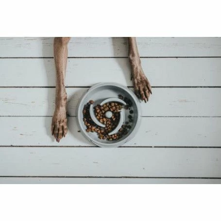 Materiel Gamelle Anti-glouton Hunter Atlanta – Image 2