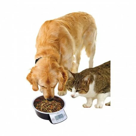 Materiel Gamelle Intelligente Pet Bowl