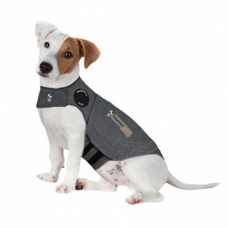Materiel Gilet Anti-anxiété ThunderShirt Pour Chien