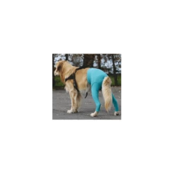 Materiel Gilet Protection Arrière VetMedCare Pour Chien