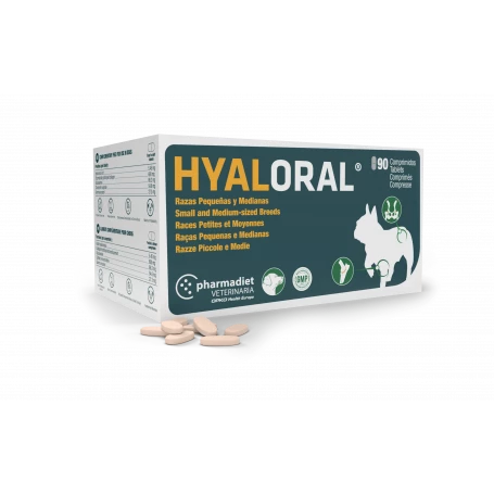 Hyaloral Chiot, Petites Et Moyennes Races
