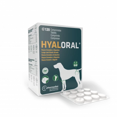 Hyaloral Grandes Et Très Grandes Races