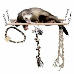 Materiel Jouet Rongeur/oiseau : Pont Suspendu En Bois - Lg : 35 Cm - D : 15 Cm