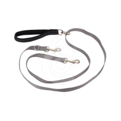 Materiel Laisse Anti-traction