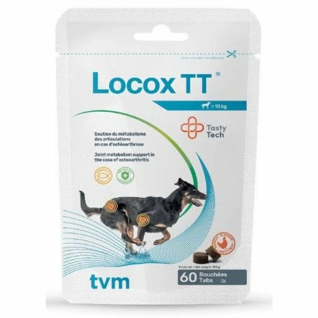 Locox TT – Image 2