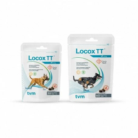 Locox TT – Image 3