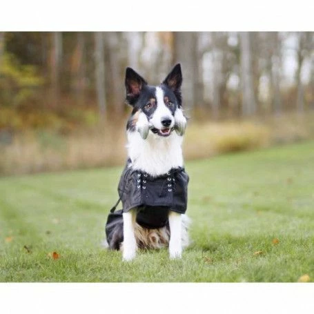 Materiel Manteau Imperméable Pour Chien Back On Track – Image 2