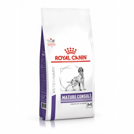 Pack'Avenue Royal Canin Grand Chien Adulte Stérilisé