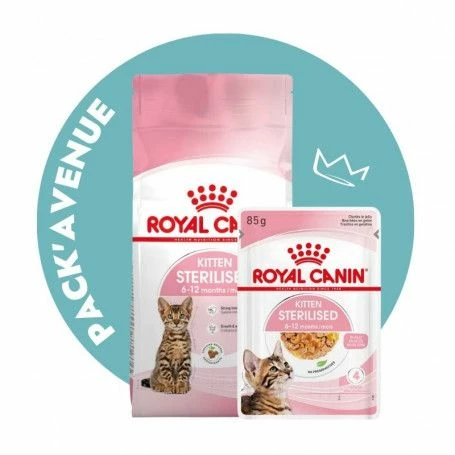 Pack'Avenue Royal Canin CAT KITTEN STERILISED 3,5KG Avec émincé En Gelée
