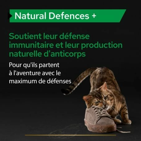 PURINA PRO PLAN Pro Plan Natural Defences + Chat – Image 8