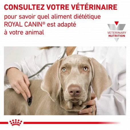 ROYAL CANIN Dog/Cat Recovery Boîte – Image 5