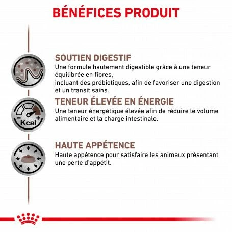 ROYAL CANIN Dog Gastro Intestinal Boîte – Image 2