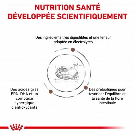 ROYAL CANIN Cat Gastro Intestinal Moderate Calorie – Image 3