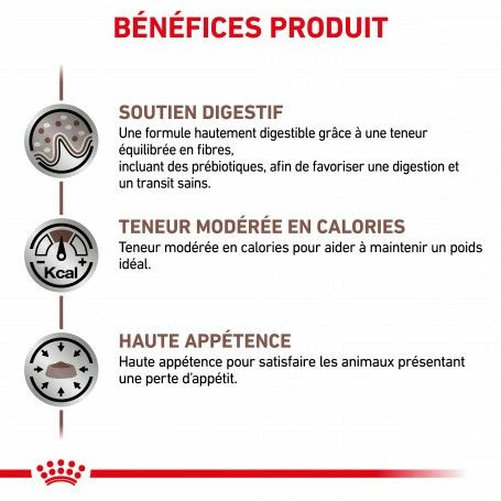 ROYAL CANIN Cat Gastro Intestinal Moderate Calorie – Image 4