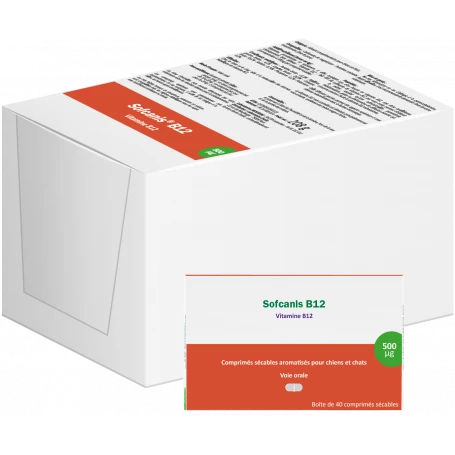 Sofcanis B12 – Image 2