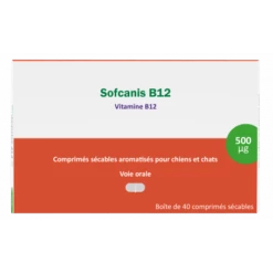 Sofcanis B12