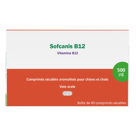 Sofcanis B12
