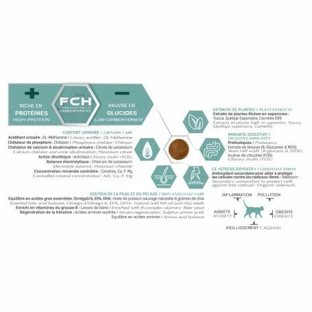 Tonivet Chaton – Image 3