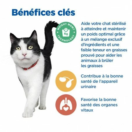 Vet Essentials Chat Multi-Benefit + Weight Mature 7+ Poulet – Image 4