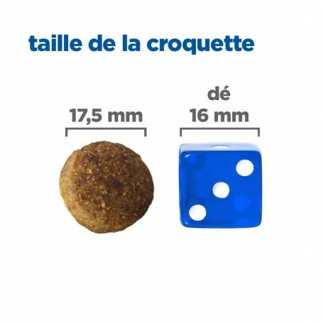 Vet Essentials Chien Multi-Benefit Adult + Large Breed Agneau & Riz – Image 6