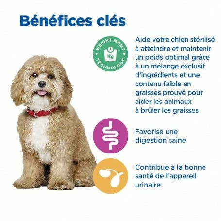 Vet Essentials Chien Multi-Benefit + Weight Adult 1+ Small & Mini Poulet – Image 5