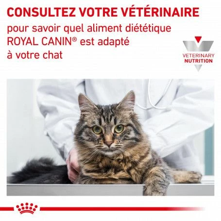 ROYAL CANIN Veterinary Health Nutrition Cat Renal Boeuf Sachet Repas – Image 6