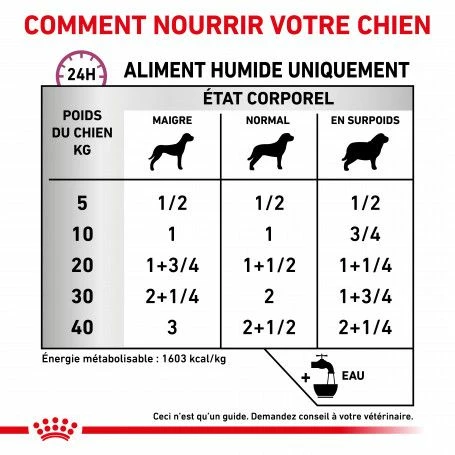 ROYAL CANIN Veterinary Health Nutrition Dog Renal Special Boîte – Image 4