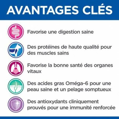 Vet Essentials Canine Adult Poulet & Légumes Boîte – Image 2