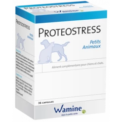 Wamine Proteostress PA